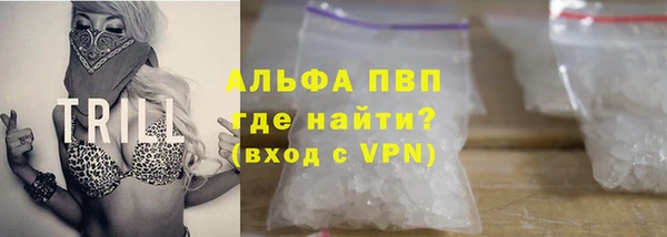 гидра Аркадак