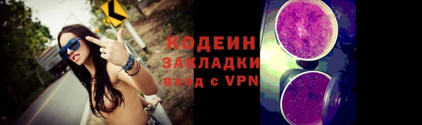 гашик Алексин