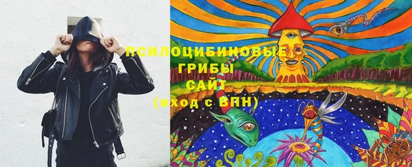 прущий лед Арсеньев