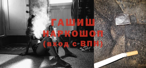 гашик Алексин