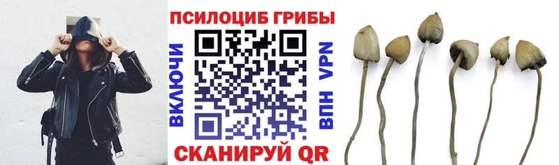 это официальный сайт  наркотики  Глазов  Галлюциногенные грибы мицелий 